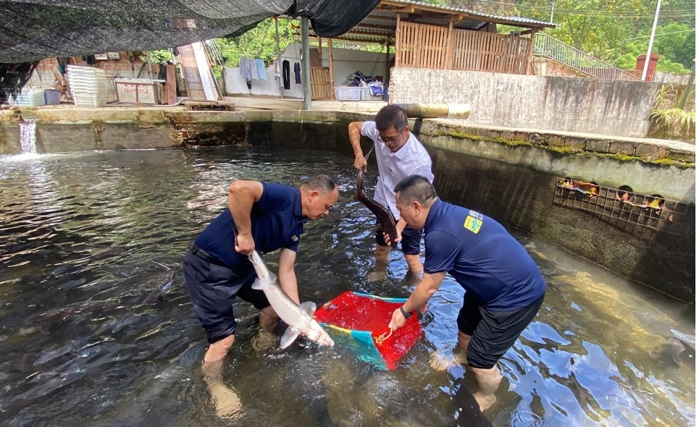 必赢76net线路(股份)有限公司 - BinG百科