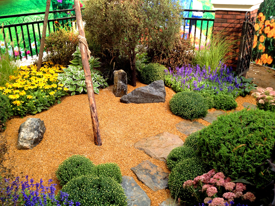 首页- Z6官网中国区人生就是博